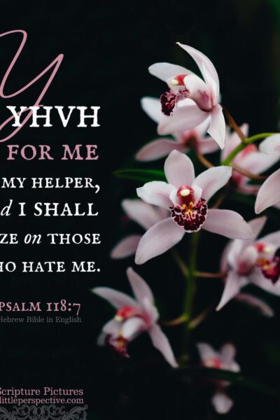 Psa 118:7 | Scripture Pictures @ alittleperspective.com