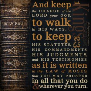 1 Kin 2:3 | Scripture Pictures @ alittleperspective.com