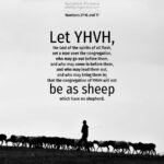 Num 27:16-17 | Scripture Pictures @ alittleperspective.com