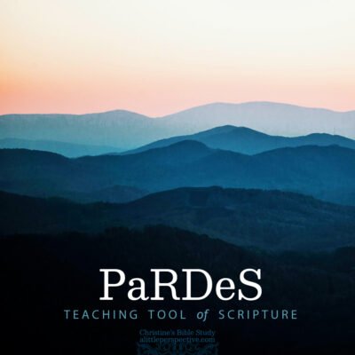 Teaching Tool of PaRDeS