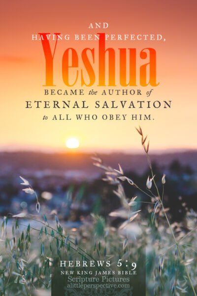 Heb 5:9 | Scripture Pictures @ alittleperspective.com