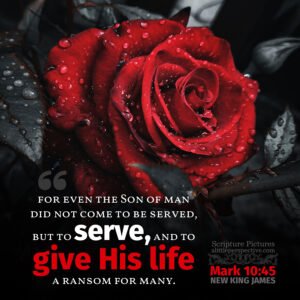 Mar 10:45 | Scripture Pictures @ alittleperspective.com