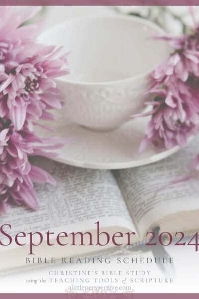 September 2024 Bible Reading | Christine's Bible Study @ alittleperspective.com
