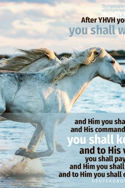 Deu 13:4 | Scripture Pictures @ alittleperspective.com