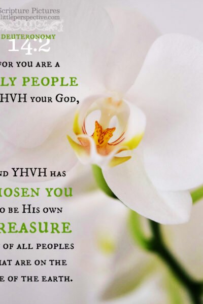 Deu 14:2 | Scripture Pictures @ alittleperspective.com