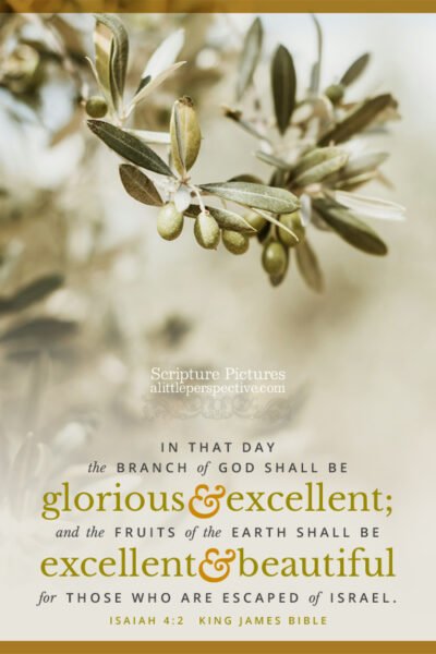 Isa 4:2 | Scripture Pictures @ alittleperspective.com