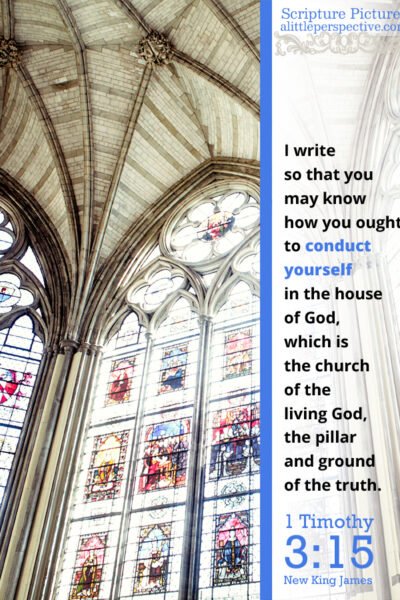 1 Tim 3:15 | Scripture Pictures @ alittleperspective.com