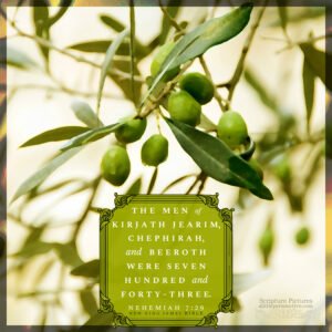 Neh 7:29 | Scripture Pictures @ alittleperspective.com