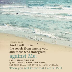 Eze 20:38 | Scripture Pictures @ alittleperspective.com