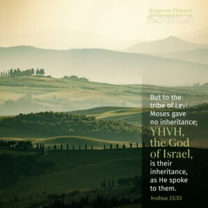 Jos 13:33 | Scripture Pictures @ alittleperspective.com