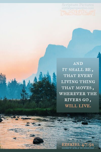 Eze 47:9a | Scripture Pictures @ alittleperspective.com