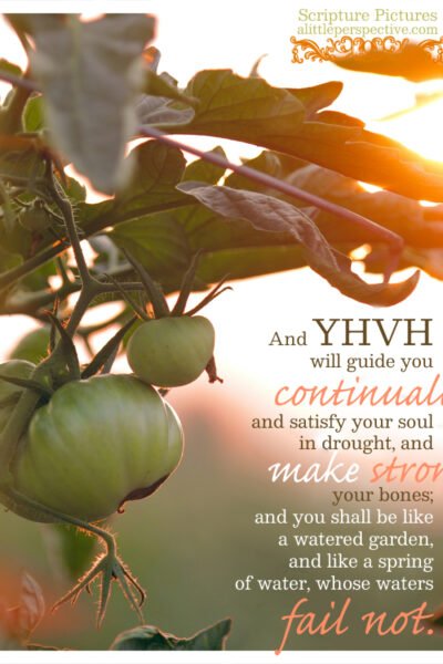 Isa 58:11 | Scripture Pictures @ alittleperspective.com