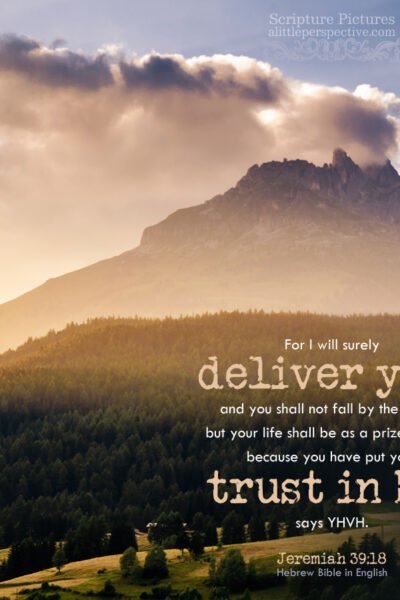 Jer 39:18 | Scripture Pictures @ alittleperspective.com