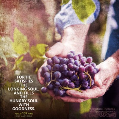 October 16 Bible Reading