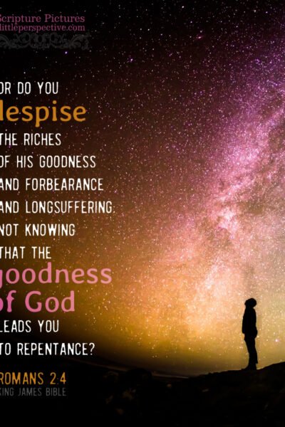 Rom 2:4 | Scripture Pictures @ alittleperspective.com
