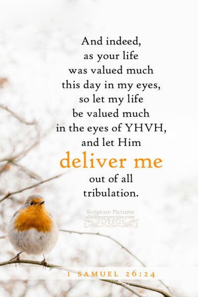 1 Sam 26:24 | Scripture Pictures @ alittleperspective.com