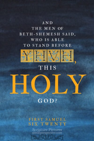 1 Sam 6:20 | Scripture Pictures @ alittleperspective.com