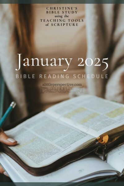January 2025 Bible Reading Schedule | Christine's Bible Study @ alittleperspective.com