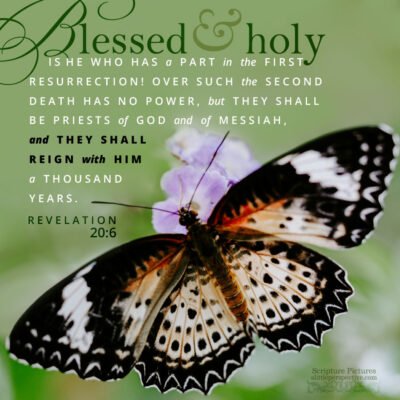 Scripture Pictures Updated