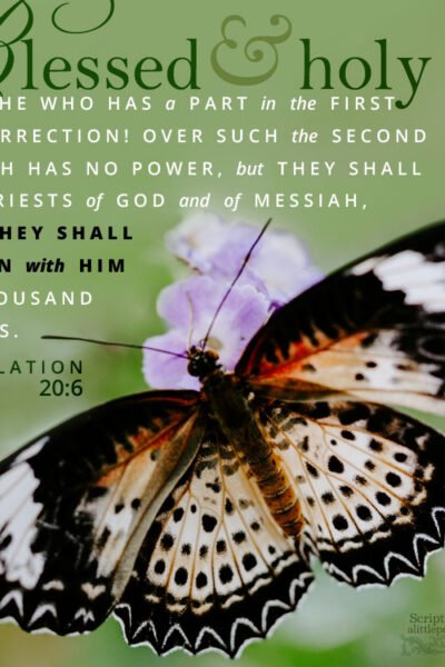 Rev 20:6 | Scripture Pictures @ alittleperspective.com