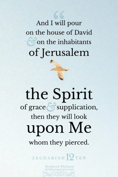 Zec 12:10 | Scripture Pictures @ alittleperspective.com