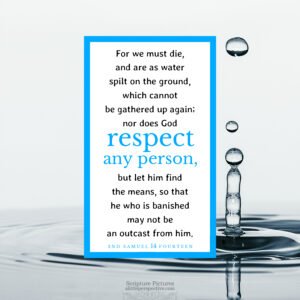 2 Sam 14:14 | Scripture Pictures @ alittleperspective.com