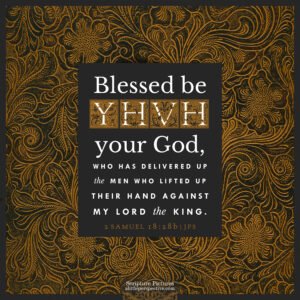 2 Sam 18:28b | Scripture Pictures @ alittleperspective.com