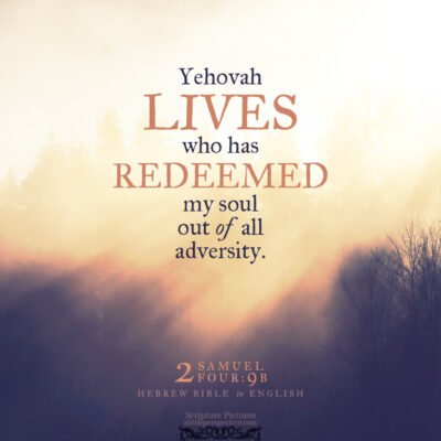 June 08 Bible Reading