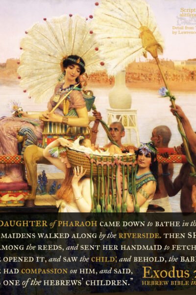 Exo 2:5-6 | Scripture Pictures @ alittleperspective.com