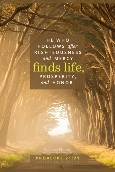 Pro 21:21 | Scripture Pictures @ alittleperspective.com