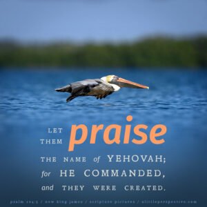 Psa 104:5 | Scripture Pictures @ alittleperspective.com