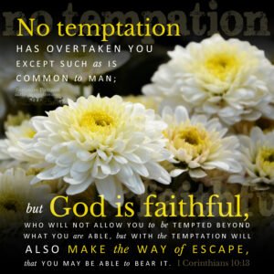 1 Cor 10:13 | Scripture Pictures @ alittleperspective.com