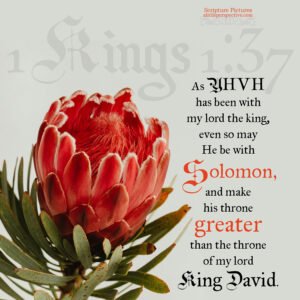 1 Kin 1:37 | Scripture Pictures @ alittleperspective.com