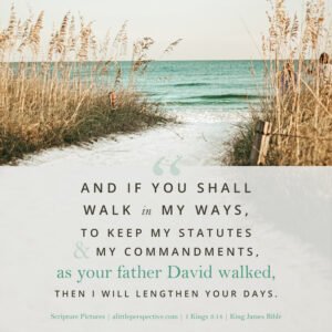 1 Kin 3:14 | Scripture Pictures @ alittleperspctive.com