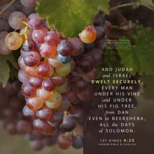 1 Kin 4:25 | Scripture Pictures @ alittleperspective.com