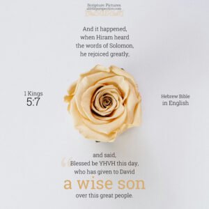 1 Kin 5:7 | Scripture Pictures @ alittleperspective.com