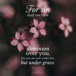 Rom 6:14 | Scripture Pictures @ alittleperspective.com