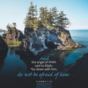 2 Kin 1:15 | Scripture Pictures @ alittleperspective.com