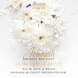 2 Kin 12:2 | Scripture Pictures @ alittleperspective.com