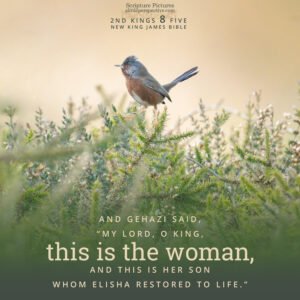 2 Kin 8:5 | Scripture Pictures @ alittleperspective.com