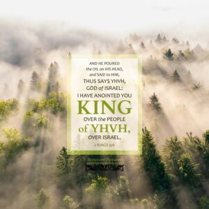 2 Kin 9:6 | Scripture Pictures @ alittleperspective.com