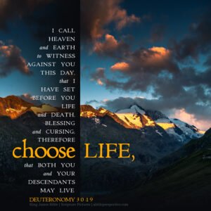 Deu 30:19 | Scripture Pictures @ alittleperspective.com