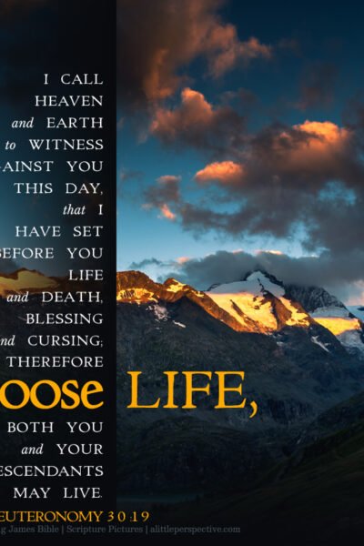Deu 30:19 | Scripture Pictures @ alittleperspective.com