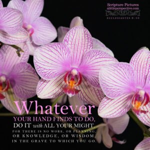 Ecc 9:10 | Scripture Pictures @ alittleperspective.com