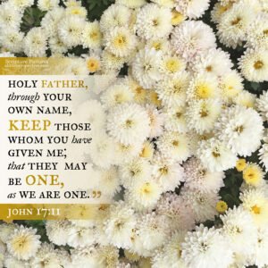 Joh 17:11 | Scripture Pictures @ alittleperspective.com