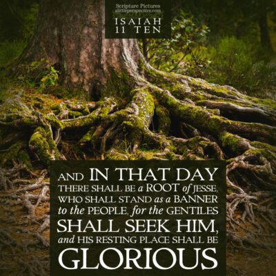 Isaiah 11 through 13