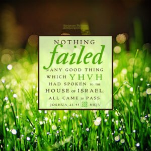 Jos 21:45 | Scripture Pictures @ alittleperspective.com