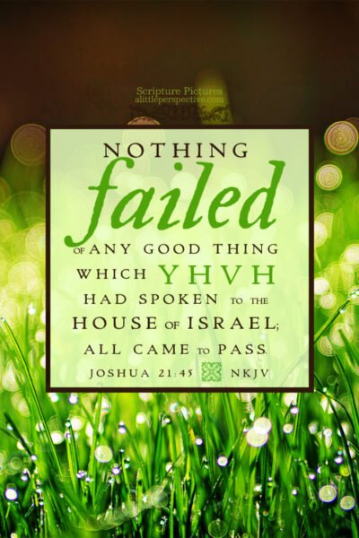 Jos 21:45 | Scripture Pictures @ alittleperspective.com