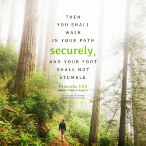 Pro 3:23 | Scripture Pictures @ alittleperspective.com