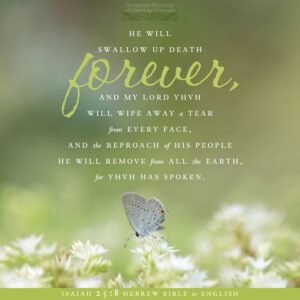 Isa 25:8 | Scripture Pictures @ alittleperspective.com